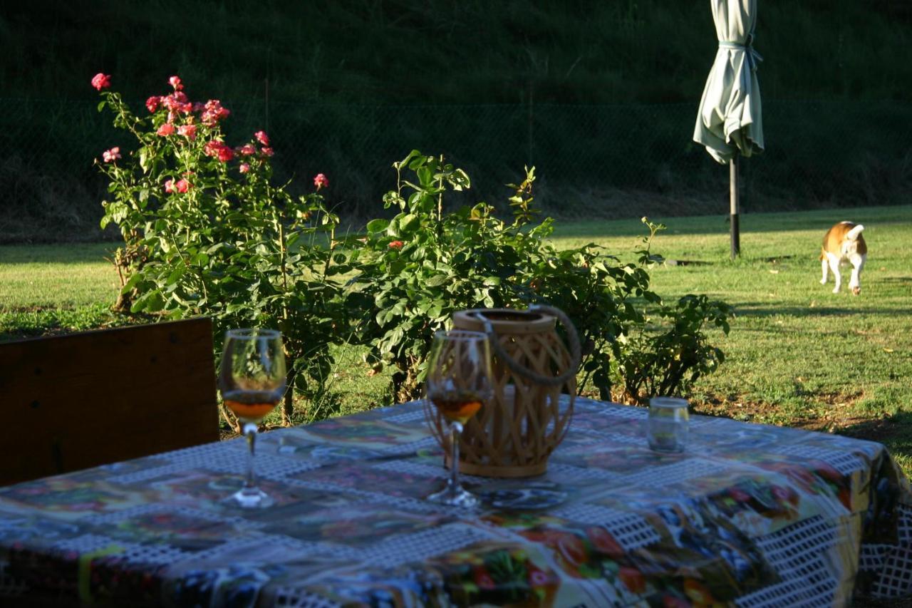 Villa Lilli 2 Ferrara Luaran gambar
