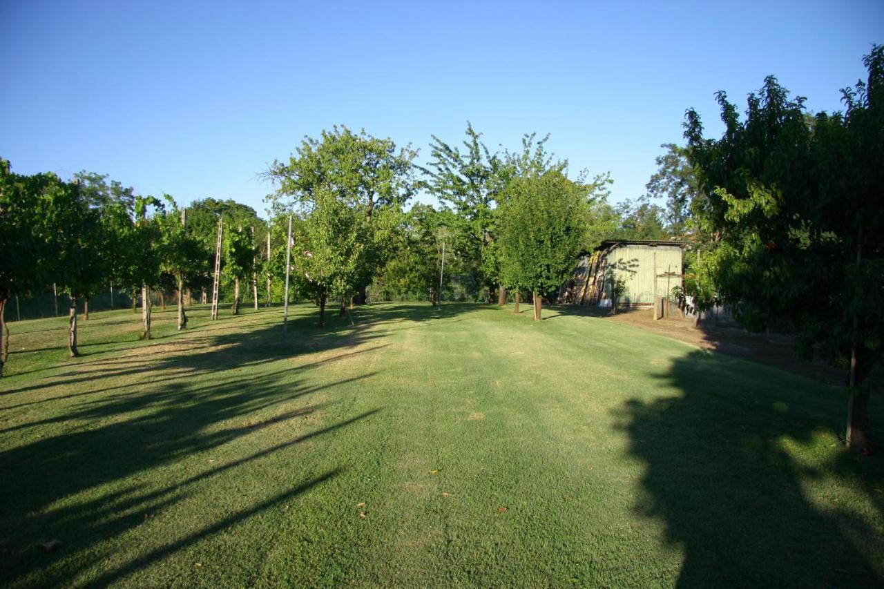 Villa Lilli 2 Ferrara Luaran gambar