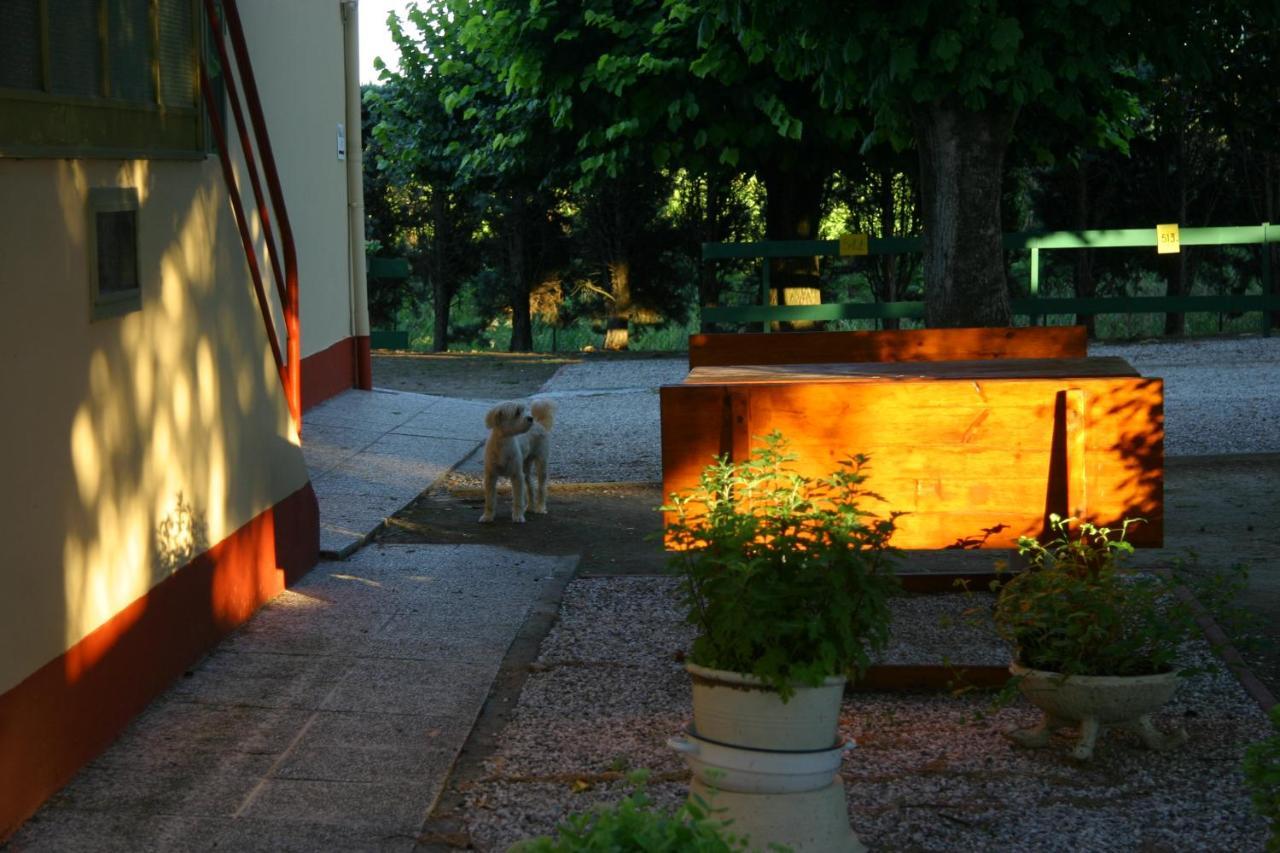 Villa Lilli 2 Ferrara Luaran gambar