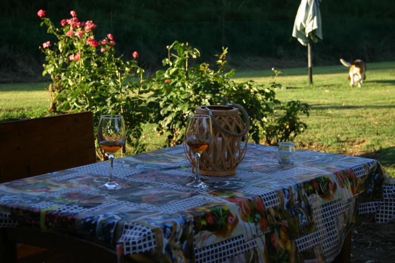 Villa Lilli 2 Ferrara Luaran gambar